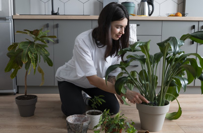 Boost your well-being and add a pop of color to neglected corners with these 10 easy-care houseplants.