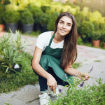 Best 10 summer plants for your garden.
